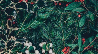 Šťastné, veselé a zelené: 6 tipů na udržitelné Vánoce